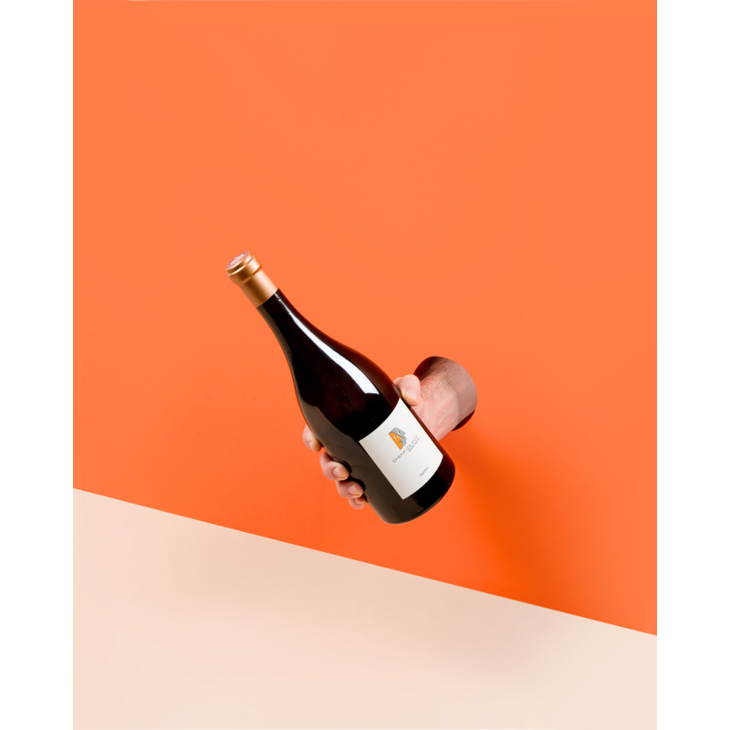 Chenin du Puy